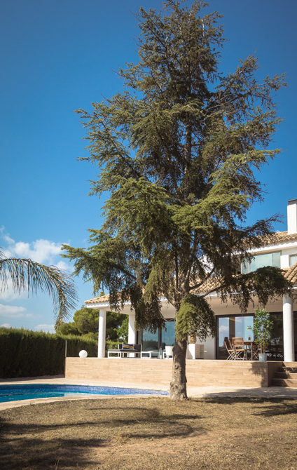 Jardín y árbol en vivienda mediterranea. Chiralt Arquitectos Valencia