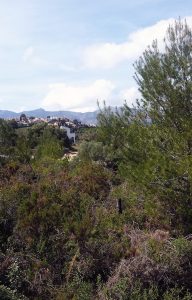 Paisaje vivienda mediterránea en Orba - Alicante, en la montaña, realizada por Chiralt Arquitectos Valencia.