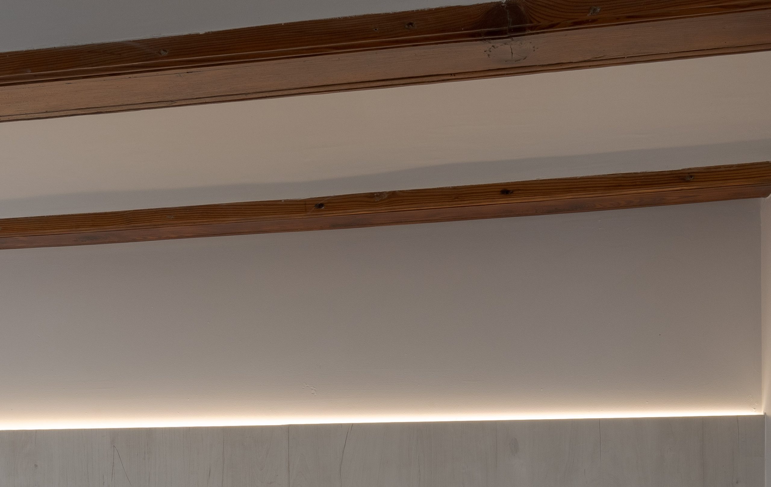 Palmera-Chiralt-Arquitectos-Valencia