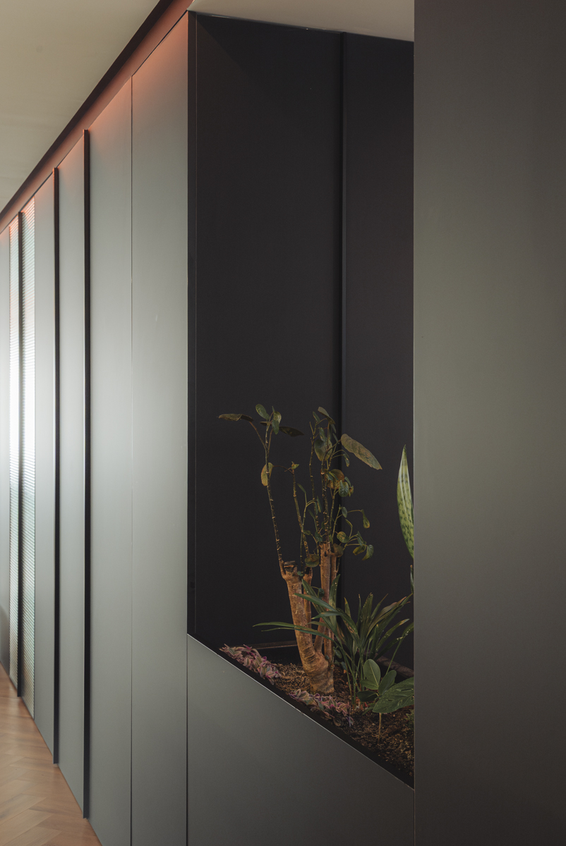 reforma_de_apartamento_en_valencia_botanic_chiralt_arquitectos_valencia