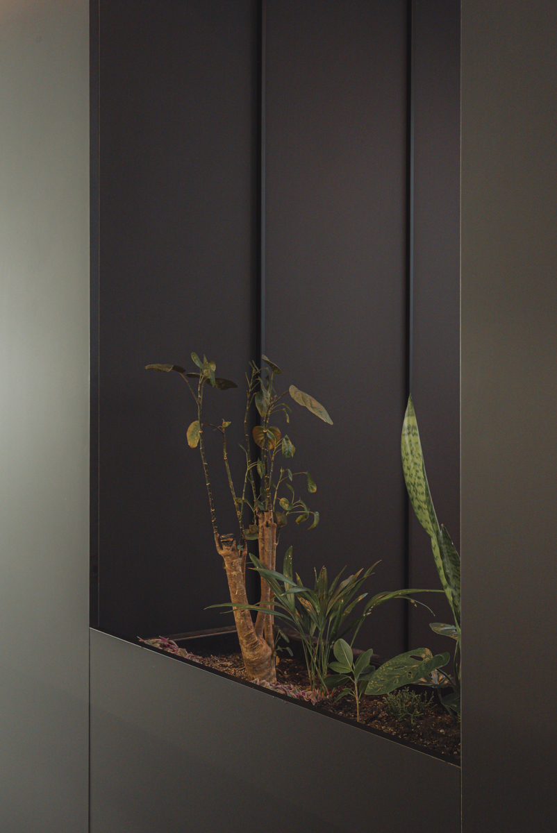 reforma_de_apartamento_en_valencia_botanic_chiralt_arquitectos_valencia