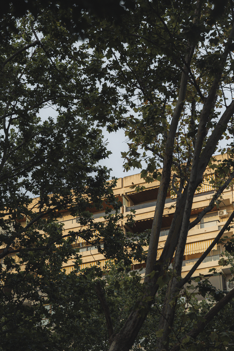 reforma_de_apartamento_en_valencia_botanic_chiralt_arquitectos_valencia