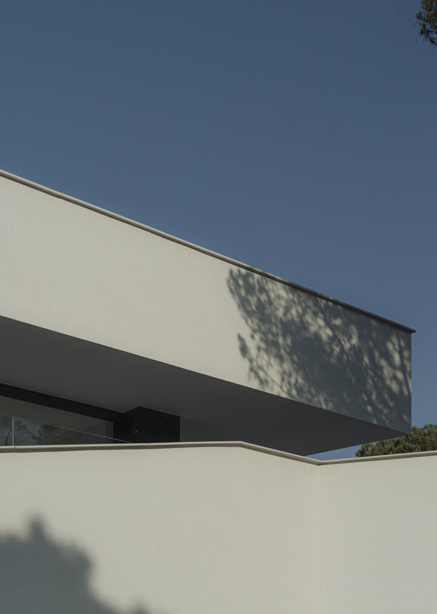 casa moderna en Valencia entre pinos