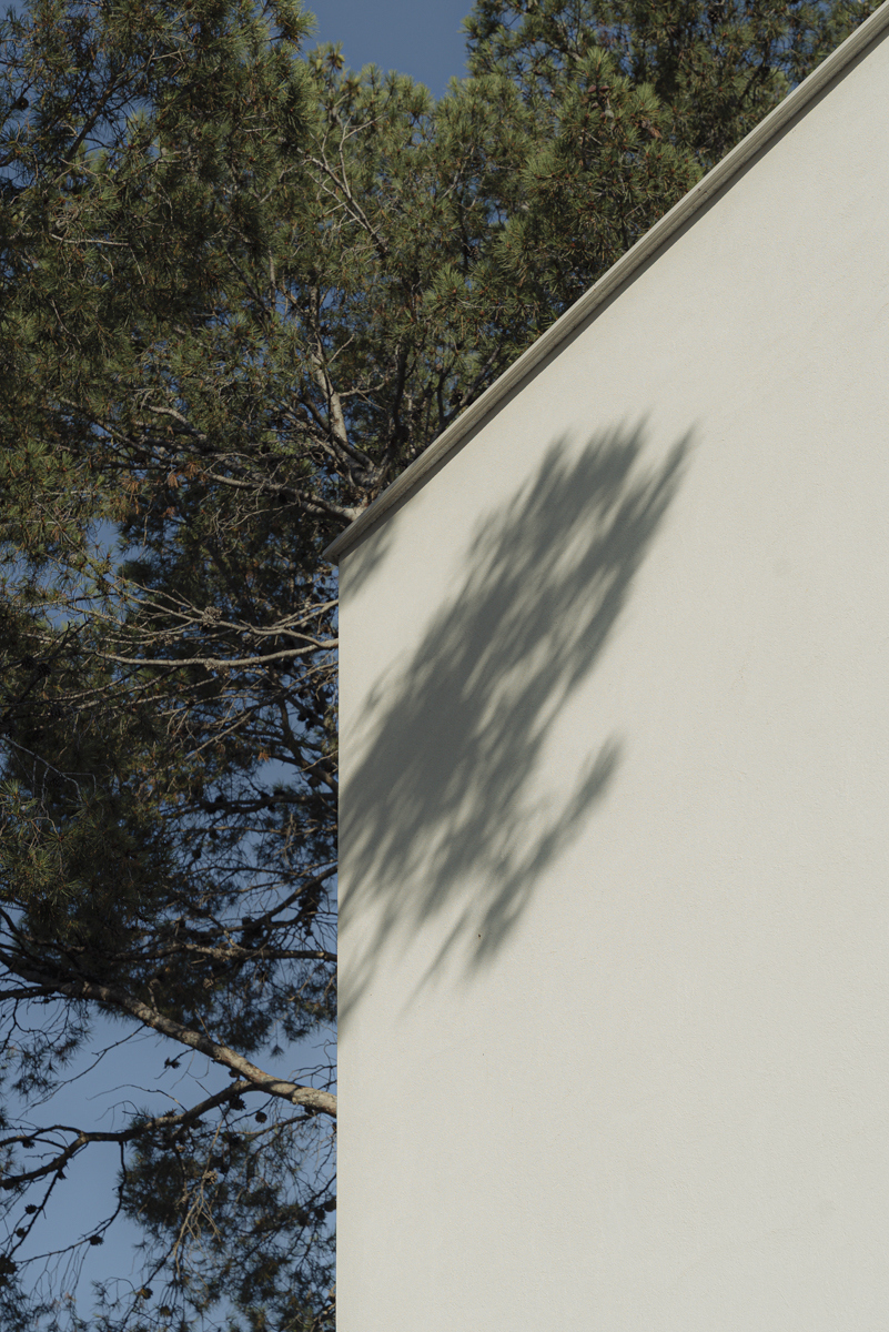 casa moderna en Valencia entre pinos