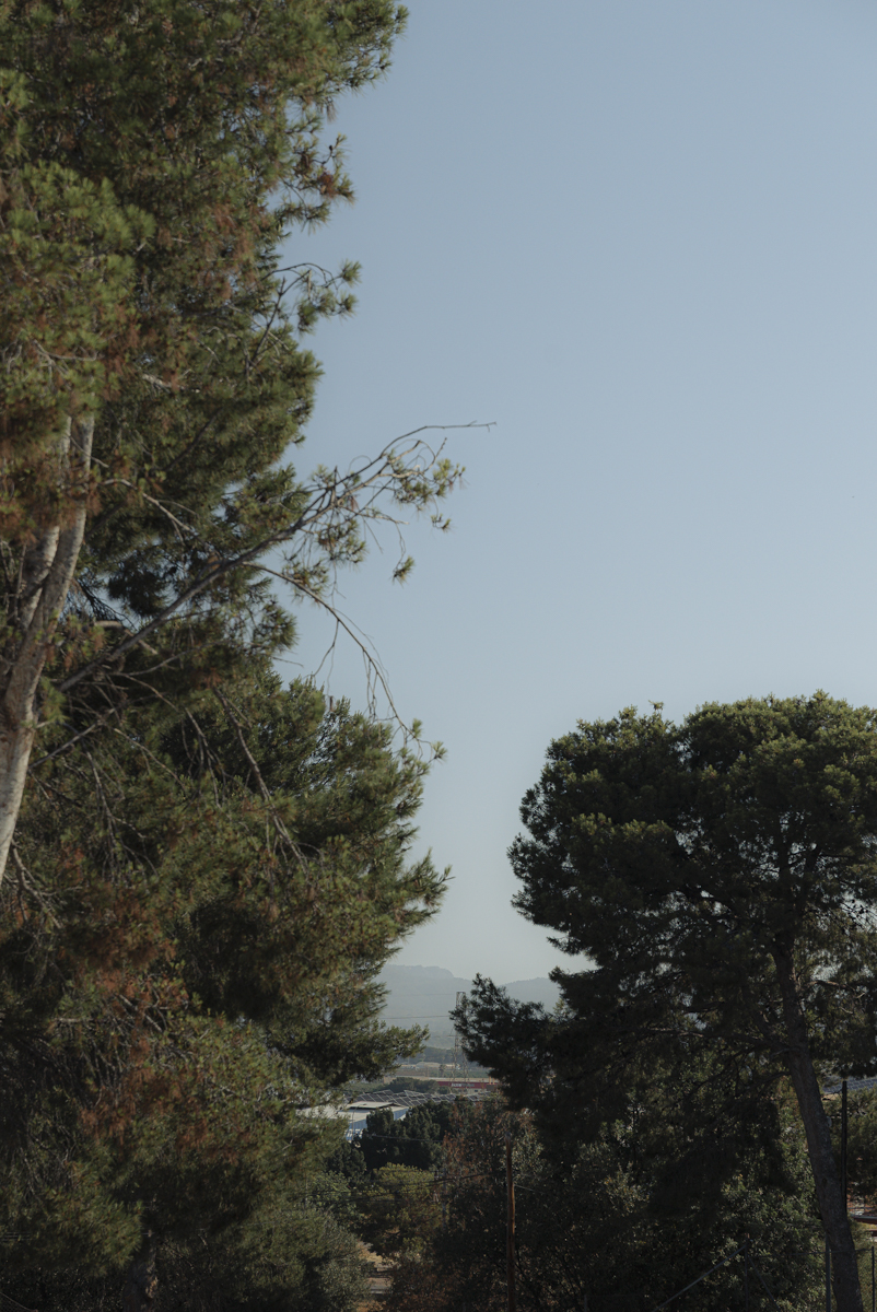 vistas al pinar desde casa moderna en Valencia